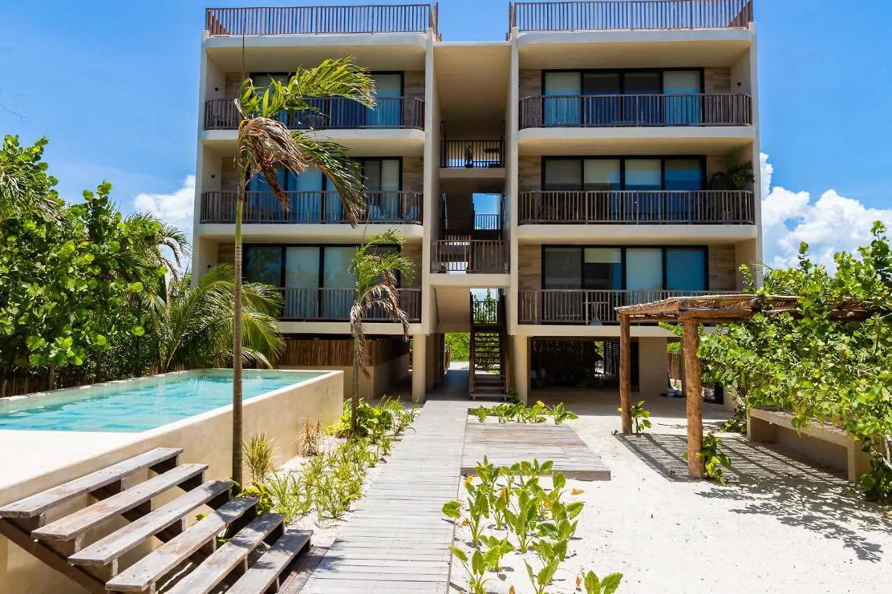 Ocean View 2 Bedroom Apartment In Punta Cocos - D201 Isla Holbox 0*,  Mexico